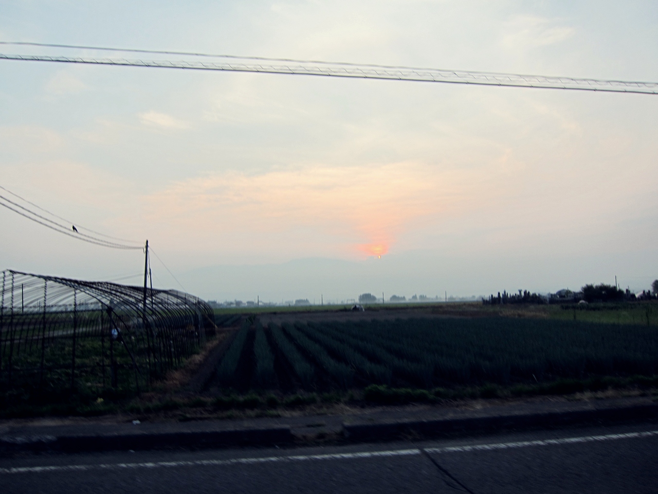 e0167780_19492429.jpg