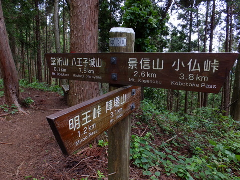 a0043982_16365321.jpg