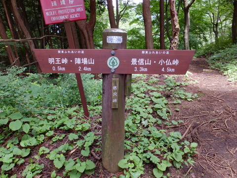 a0043982_16372853.jpg