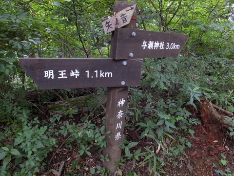 a0043982_16385987.jpg