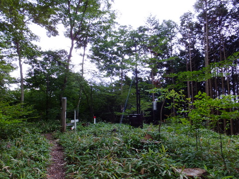 a0043982_1639746.jpg