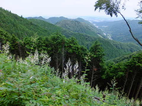 a0043982_18564338.jpg