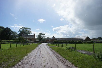 e0181286_13191930.jpg
