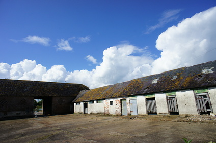 e0181286_13313868.jpg