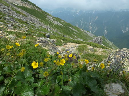 e0271890_2324837.jpg