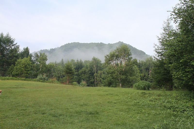 a0090292_9115634.jpg