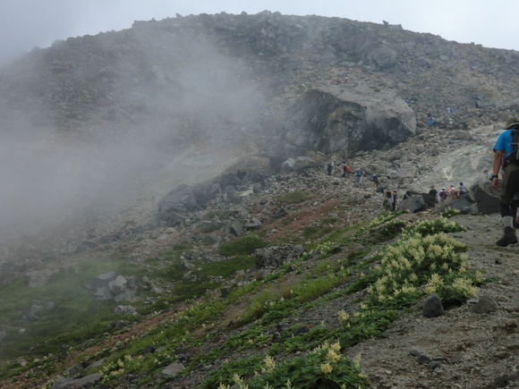 f0117892_8173198.jpg