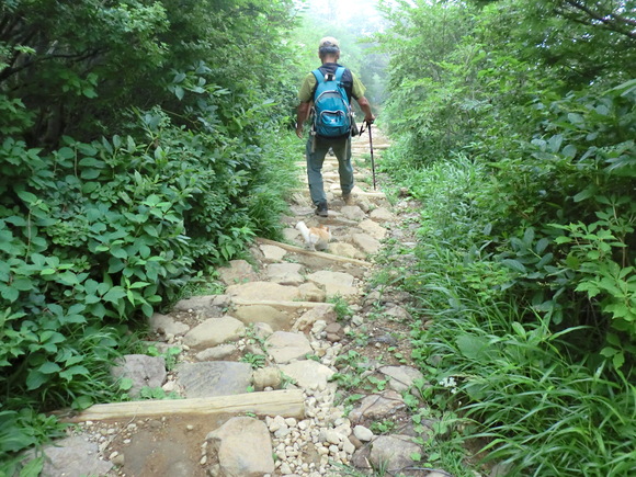f0117892_8223174.jpg