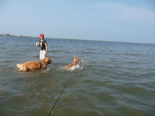 e0072606_14345660.jpg