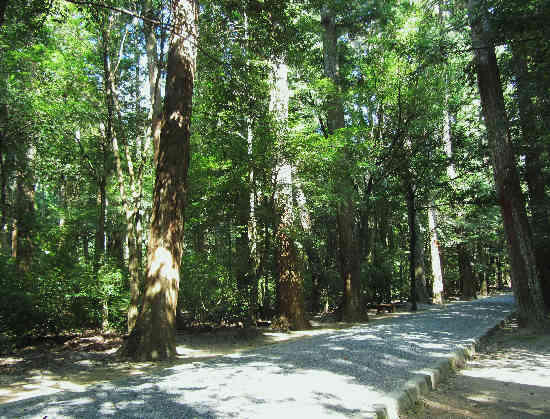d0154609_11391594.jpg