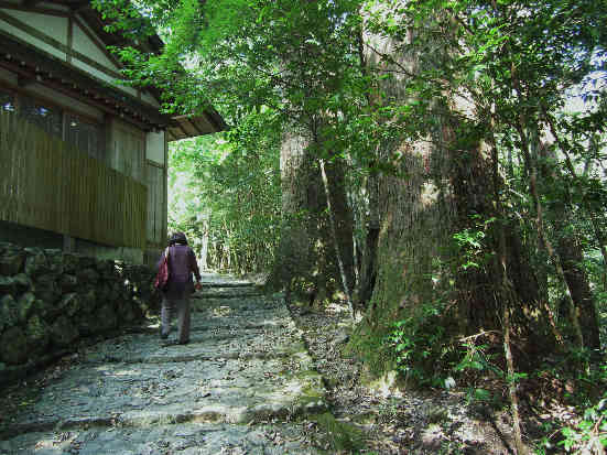 d0154609_1147323.jpg