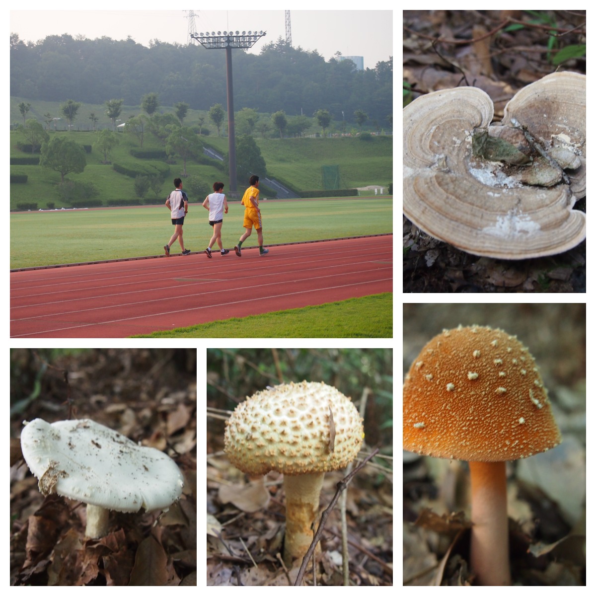 d0081210_9253469.jpg