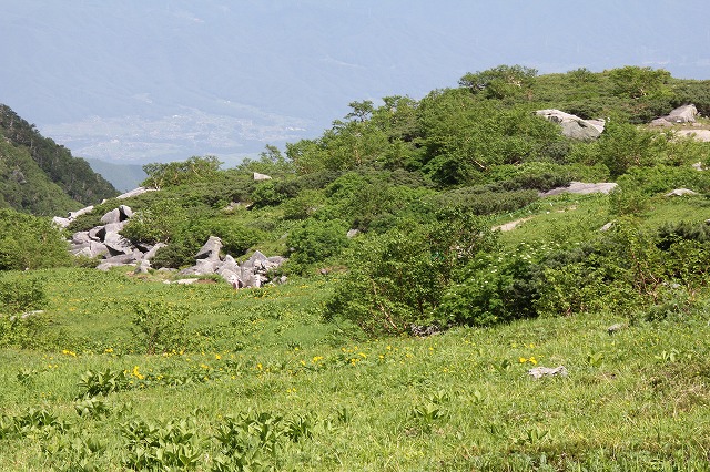 e0121110_2111874.jpg