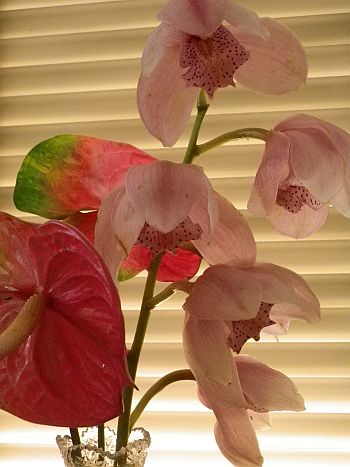 c0247314_2125757.jpg