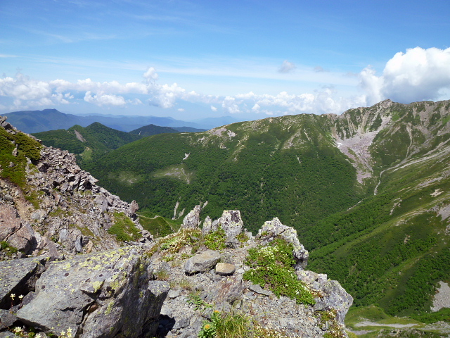 d0170615_8285356.jpg