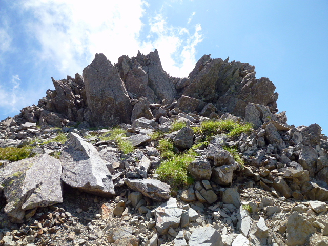 d0170615_8294699.jpg