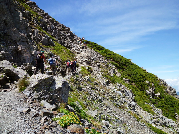 d0170615_8295924.jpg