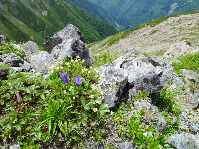 d0170615_8302880.jpg