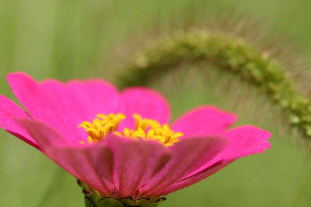b0182422_1271159.jpg