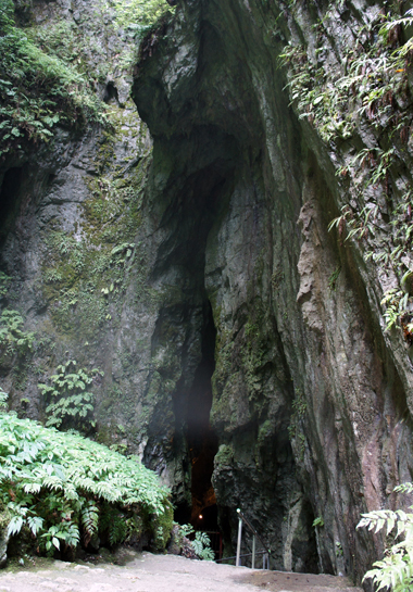 e0112226_19244150.jpg