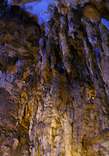 e0112226_2031626.jpg