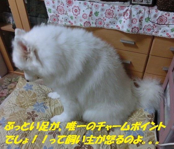 e0196135_2294787.jpg