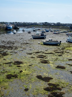d0142843_441744.jpg