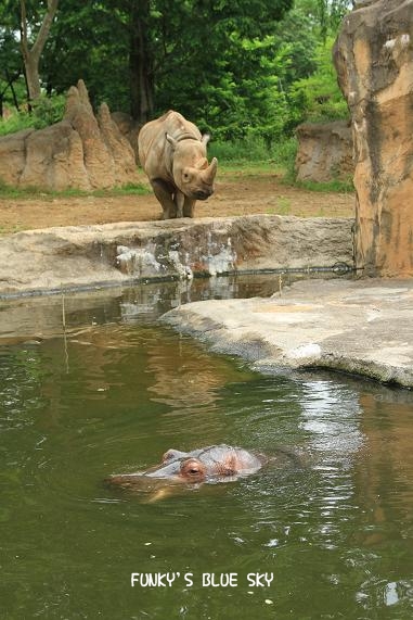 c0145250_116733.jpg