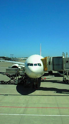 e0173350_1134640.jpg