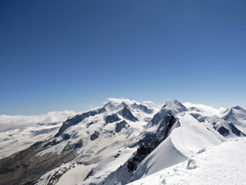 a0044453_10221765.gif