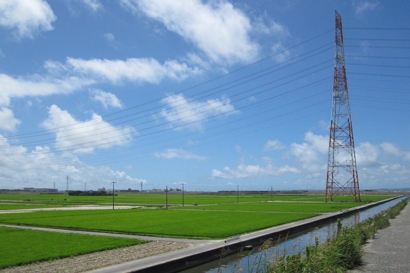 c0136654_055588.jpg