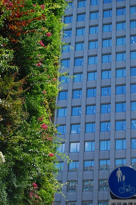 e0025655_5572192.jpg