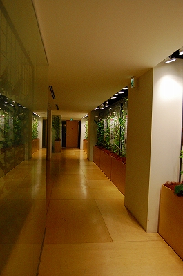 e0025655_63429.jpg