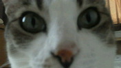 c0052756_16532342.jpg