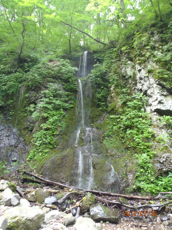d0169556_18121159.jpg