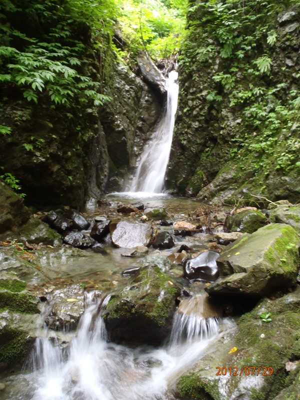 d0169556_18164275.jpg