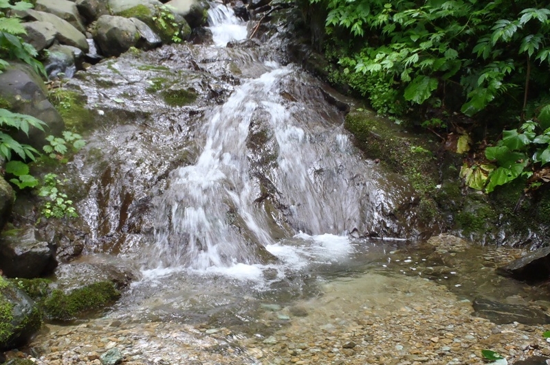 d0169556_18171944.jpg