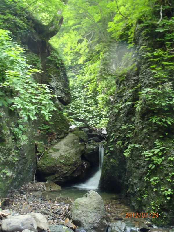 d0169556_1818141.jpg