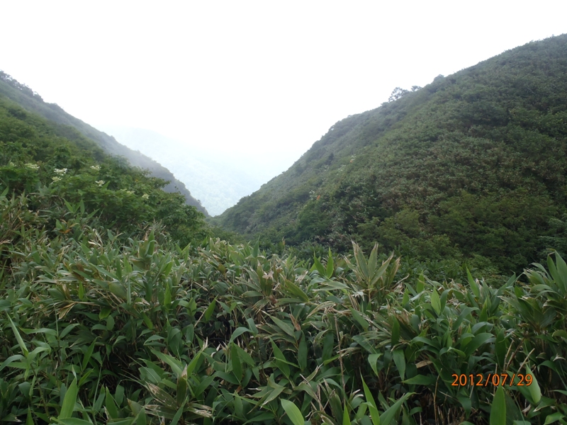 d0169556_18244259.jpg