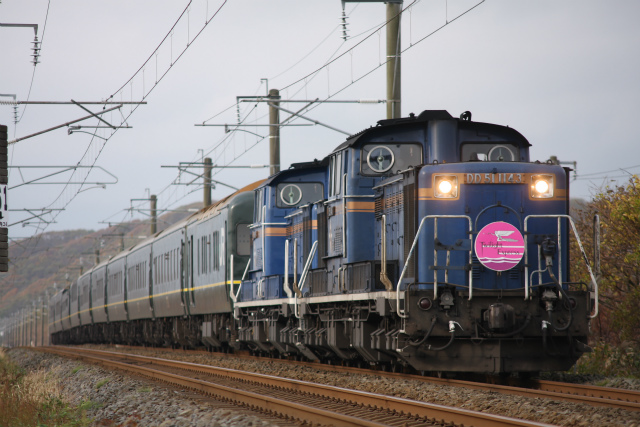 b0002858_151834.jpg