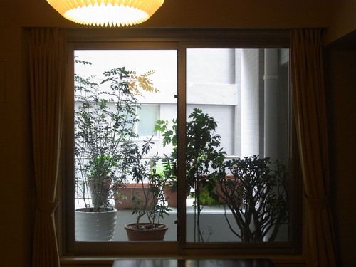 b0207158_114242.jpg