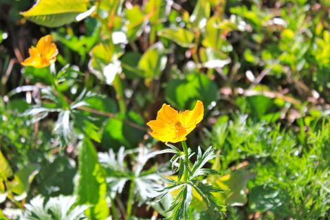 a0248459_1917385.jpg