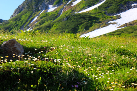 a0248459_19224557.jpg