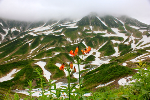 a0248459_1922511.jpg