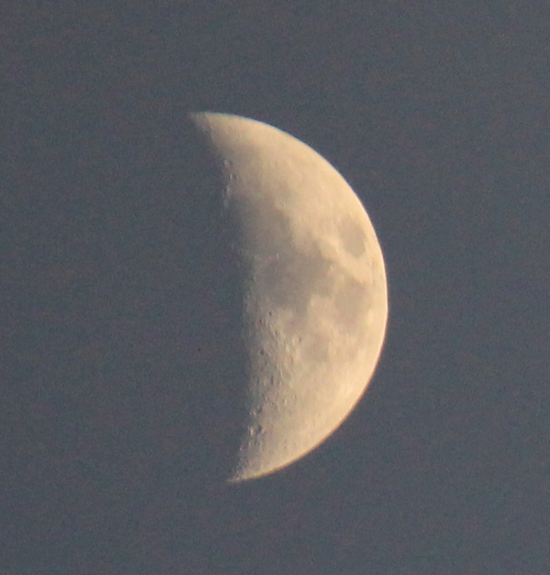a0248459_1923887.jpg
