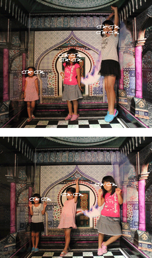 e0145259_21443032.gif