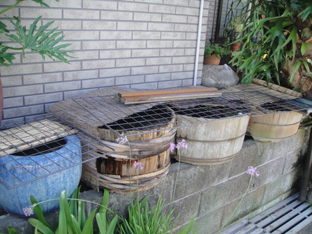 c0108460_2181016.jpg
