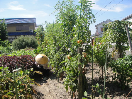 c0108460_2191737.jpg
