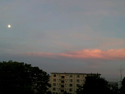d0261061_19134468.jpg