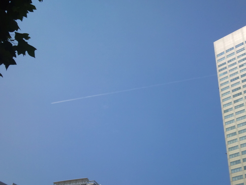 c0100865_5594256.jpg